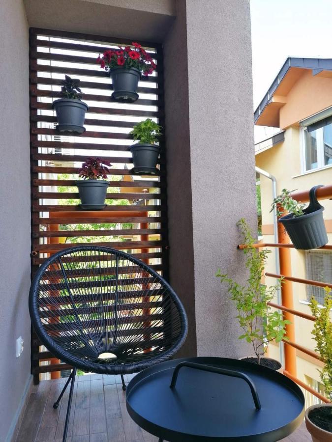 Koko Apartman Vrnjačka Banja 외부 사진