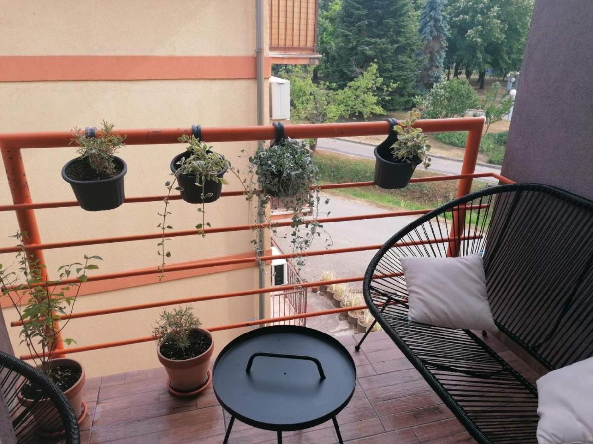 Koko Apartman Vrnjačka Banja 외부 사진